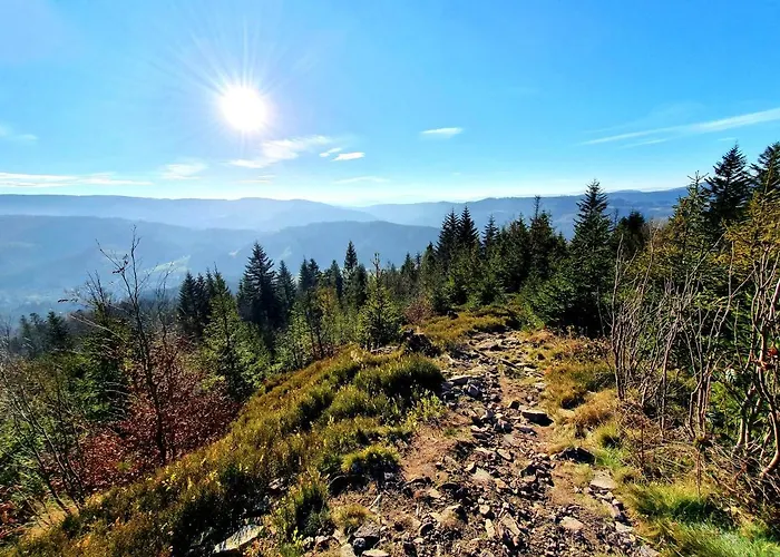 Olimpijska 2 - Centrum Guest house Wisla