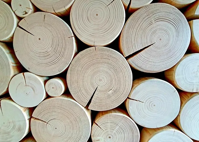 Guest house Olimpijska 2 - Centrum 3*