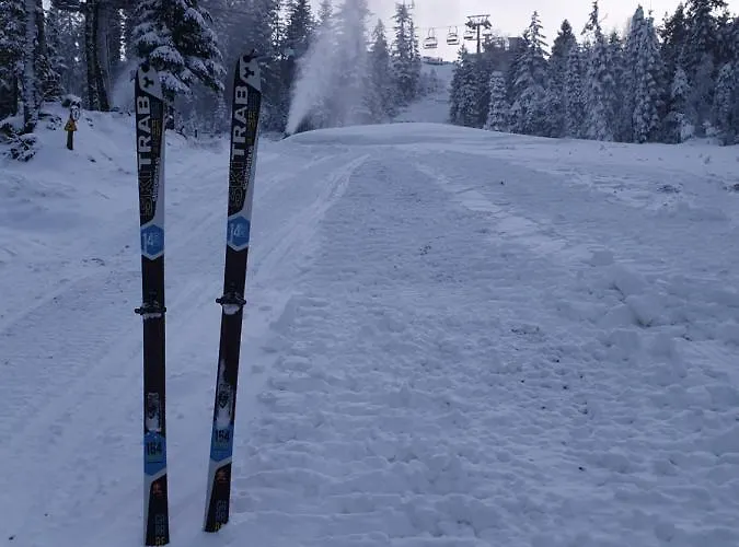 Olimpijska 2 - Centrum Guest house Wisla