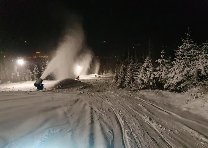 Olimpijska 2 - Centrum