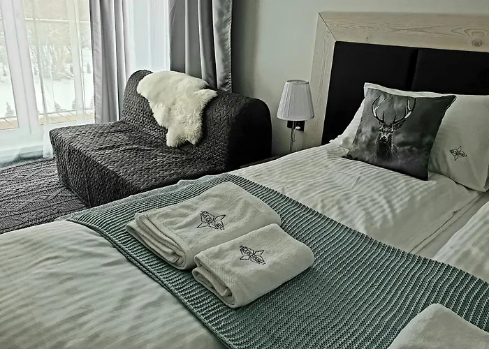 Olimpijska 2 - Centrum 3* Visla