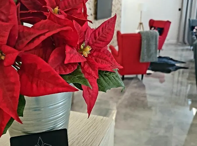 Olimpijska 2 - Centrum 3*